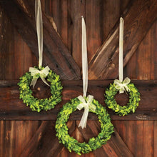 Load image into Gallery viewer, Preserved Boxwood Wreaths with Ivory Ribbon (Set of 3)
